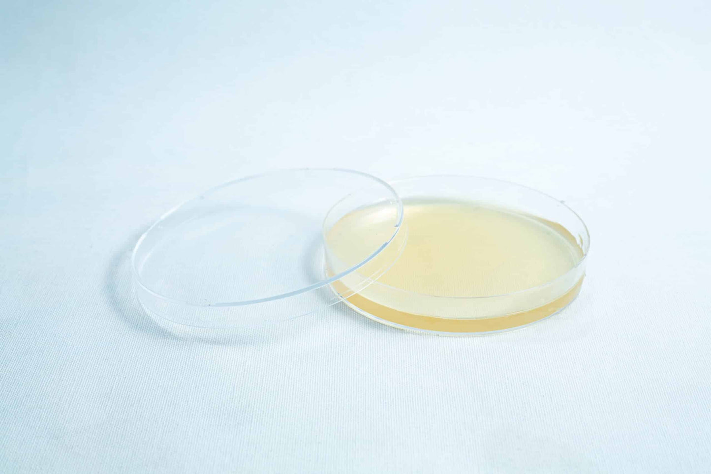 Agar Plates