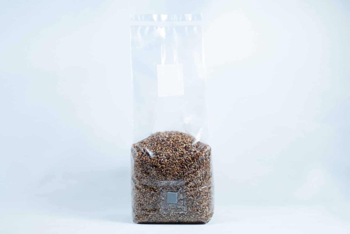 Sterile Organic Grain for Mushroom Spawn Production