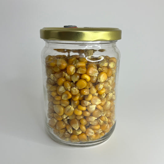 Sterile Grain Jar for Mushroom Spawn Production