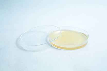 Agar Plates