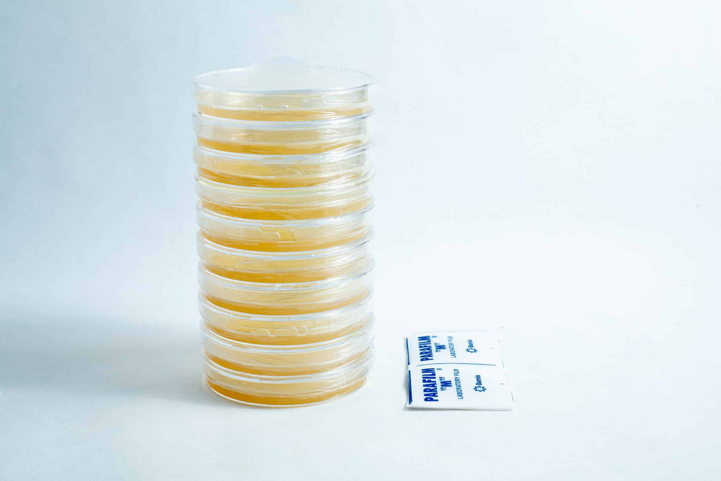 Agar Plates